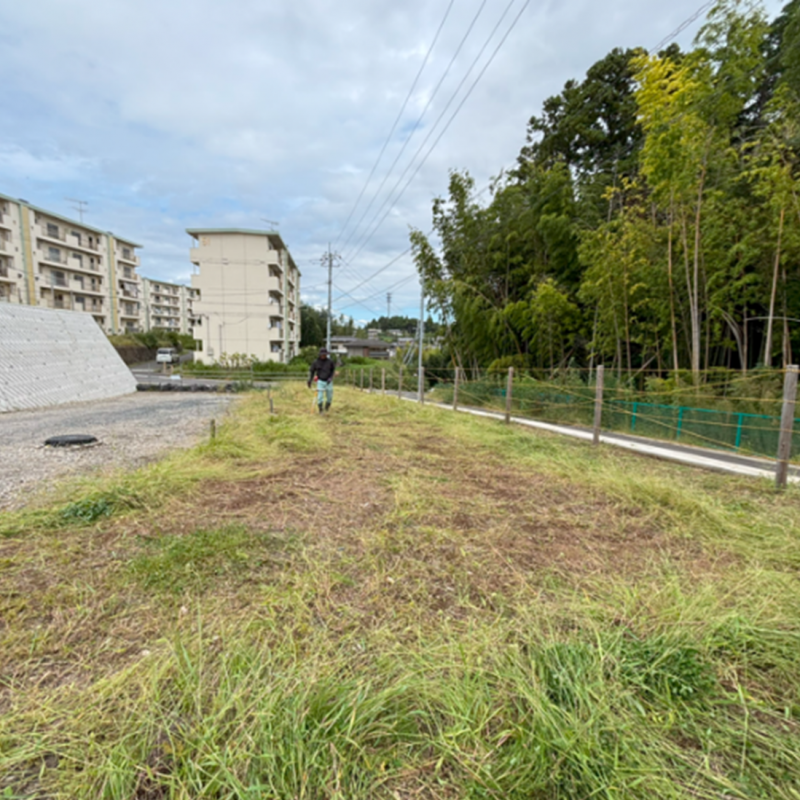 除草作業後（日立地区　田尻ヶ丘病院移設予定地　東側道路周辺）